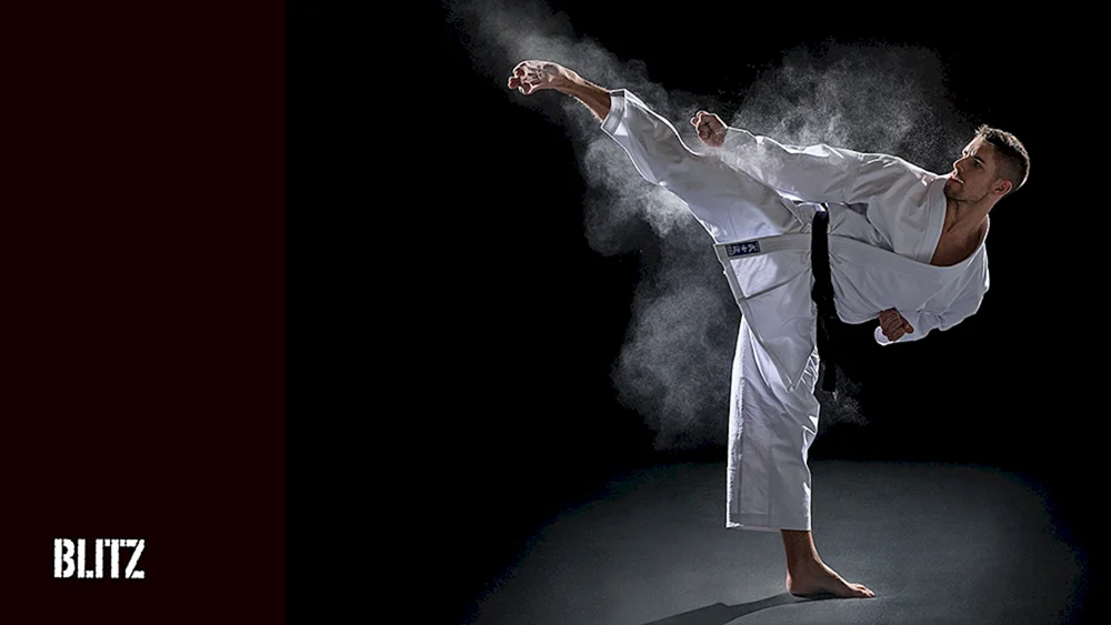 Mawashi Geri Jodan