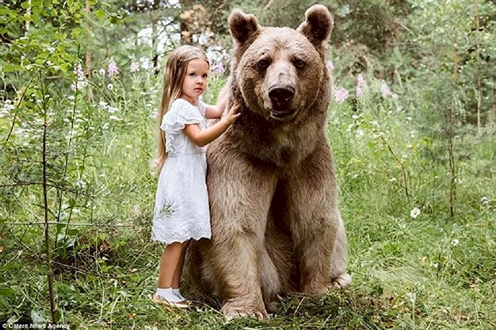 Braunbär mit Mann