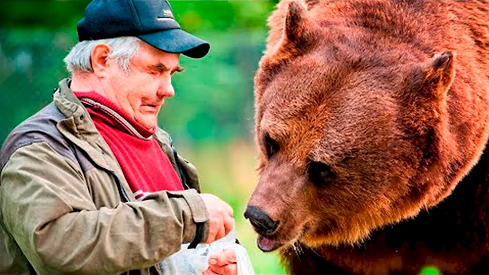 Bär und Mann