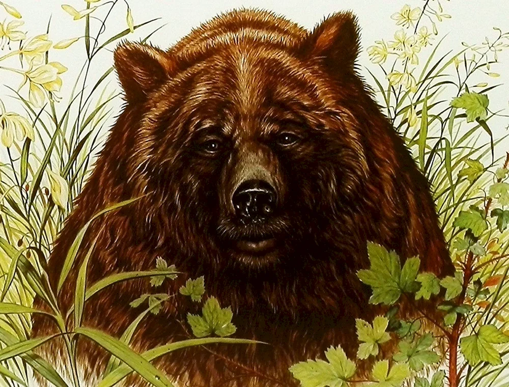 Bär bei der Jagd mit Steinschleuder in Russland