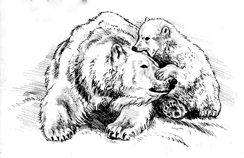 Bild der Bärenfamilie Ushakov