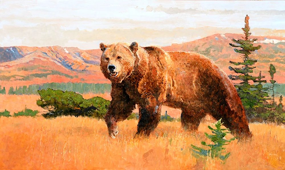Bär malen