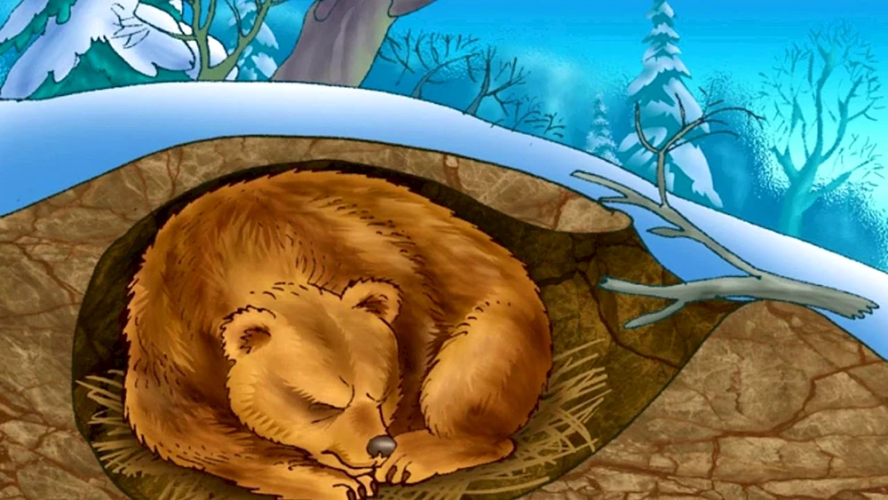 Braunbär in der Höhle