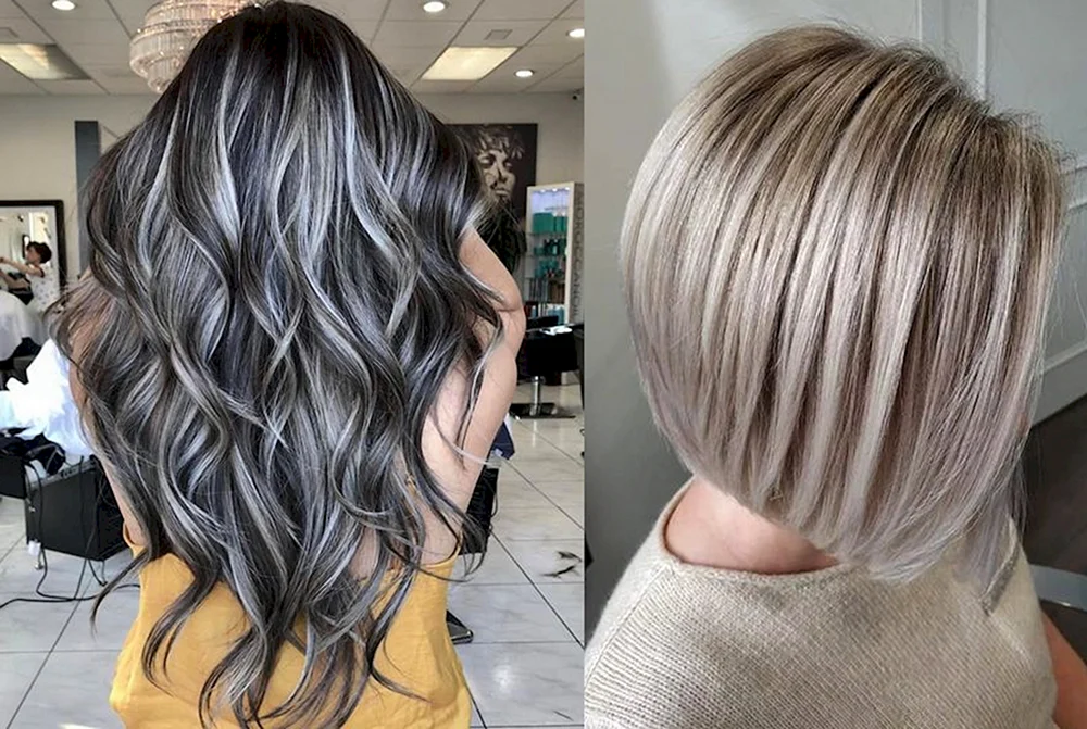 Pixie bob