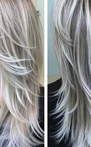 Silbergrau Balayage Asche Balayage Asche Balayage Asche Balayage Asche Balayage Asche Balayage Asche Balayage Asche Balayage Asche Balayage Asche Balayage Asche Balayage Asche Balayage Asche Balayage Asche Balayage Asche Balayage Asche Balayage Asche Balayage Asche Balayage Asche Balayage Asche Balayage Asche Balayage Asche Balayage Asche Balayage Asche Balayage Asche Grau