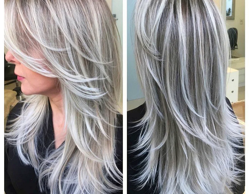 Silver Grey Haarfärbung