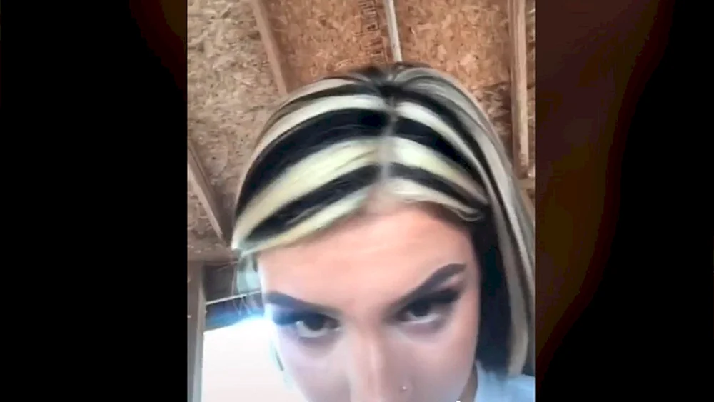 Zebra-Färbung