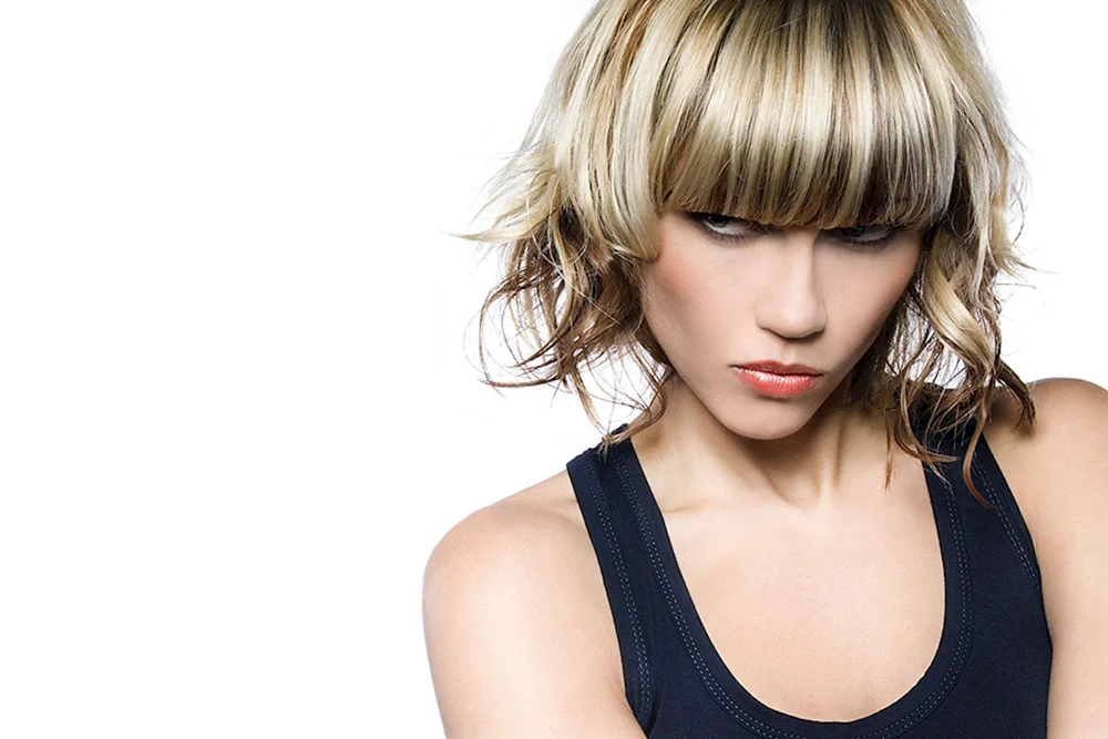 Pixie Bob aschblond