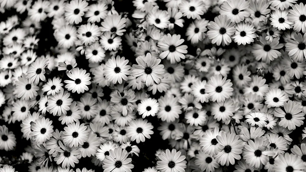 Kleine Blumen