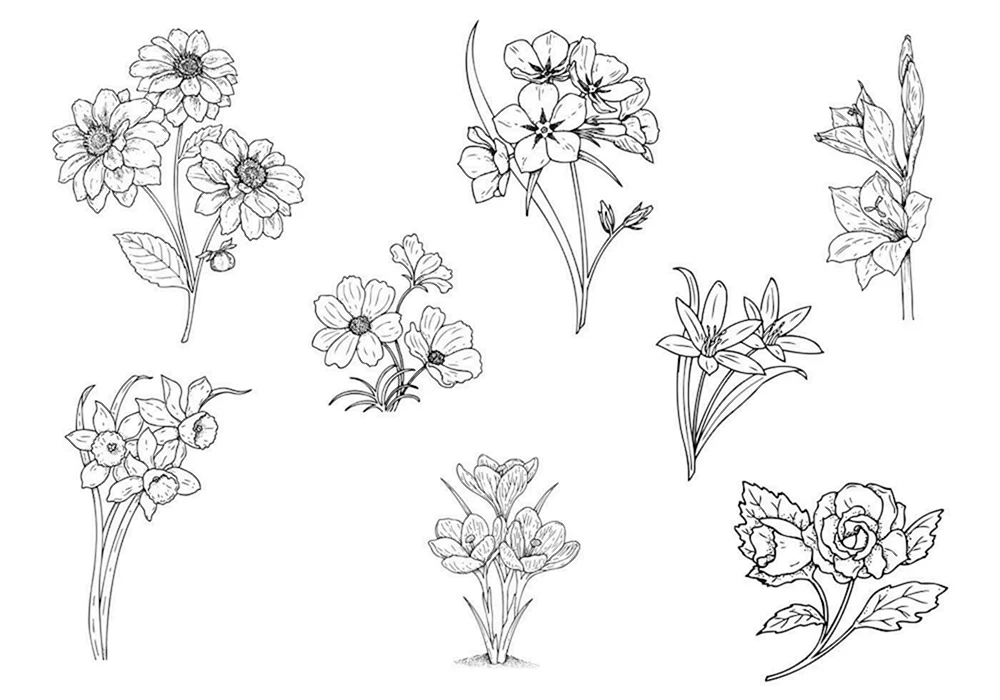 Blumen mit Bleistift