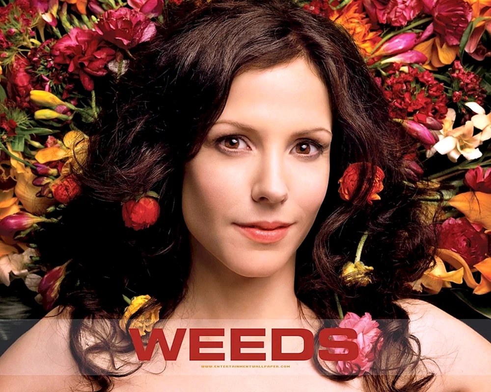 Mary Louise Parker. Louise Parker Elizabeth Perkins