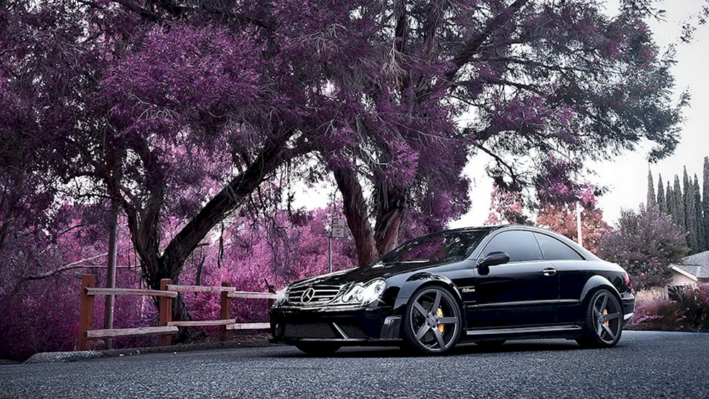 Mercedes s63 AMG unter Sakura