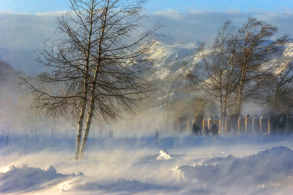 Метель