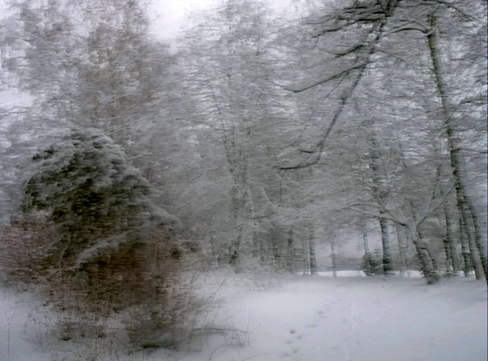 Schneesturm in Jakutsk