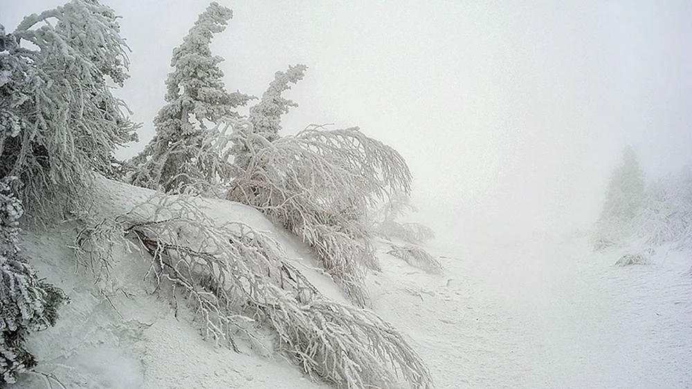Snowstorm in Jakutsk