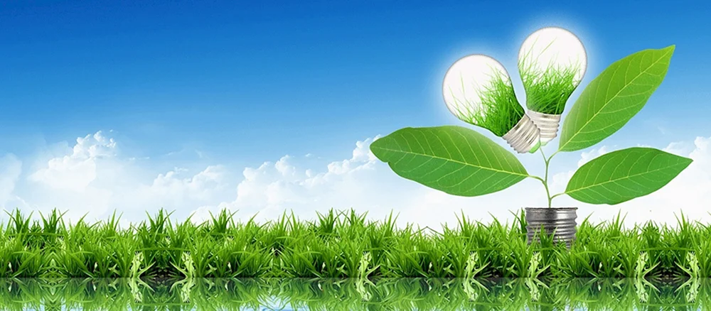 Umwelt und Energiesparen
