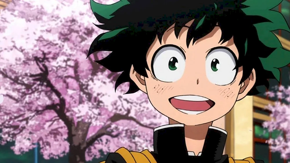 Midoriya Izuku