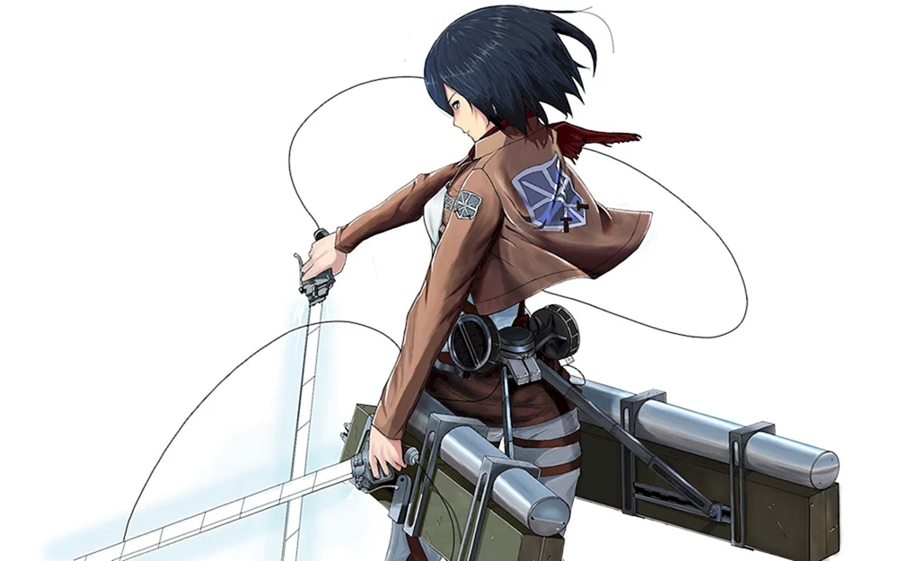 Mikasa Ackerman Wachstum