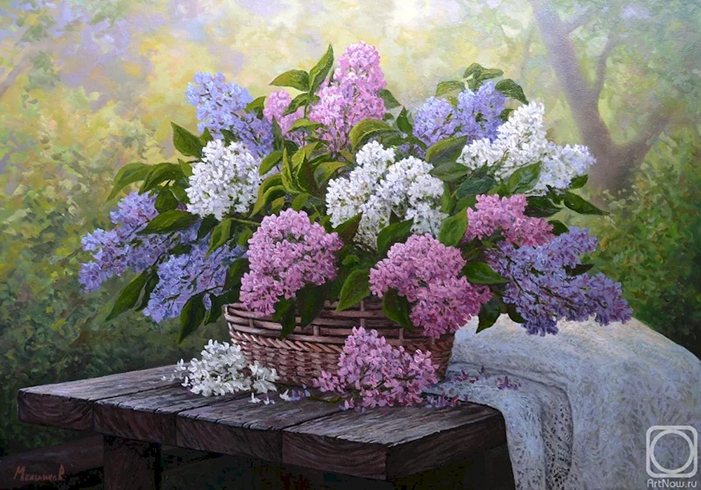 Mikhail Satarov lilac