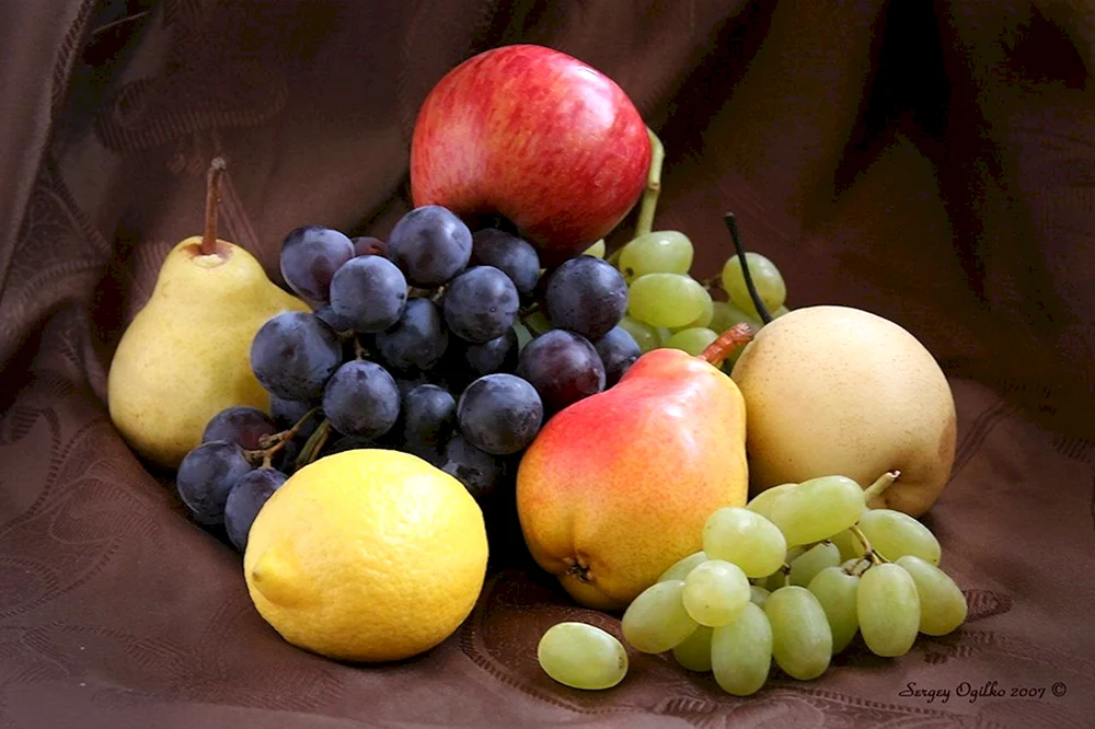 Mihail Stefanescu Stilleben mit Früchten 1864