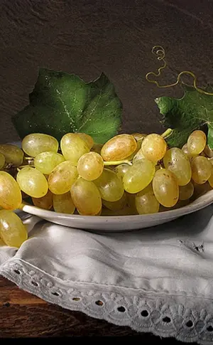 Mihail Stefanescu Stillleben Obst 1864