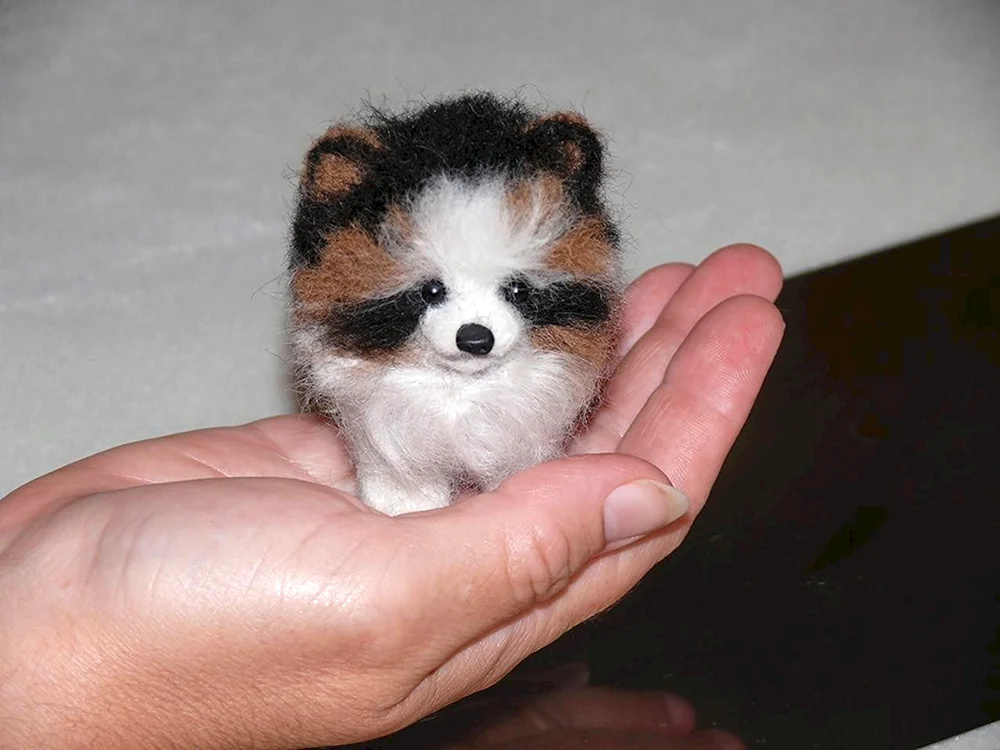 Micro Pupi