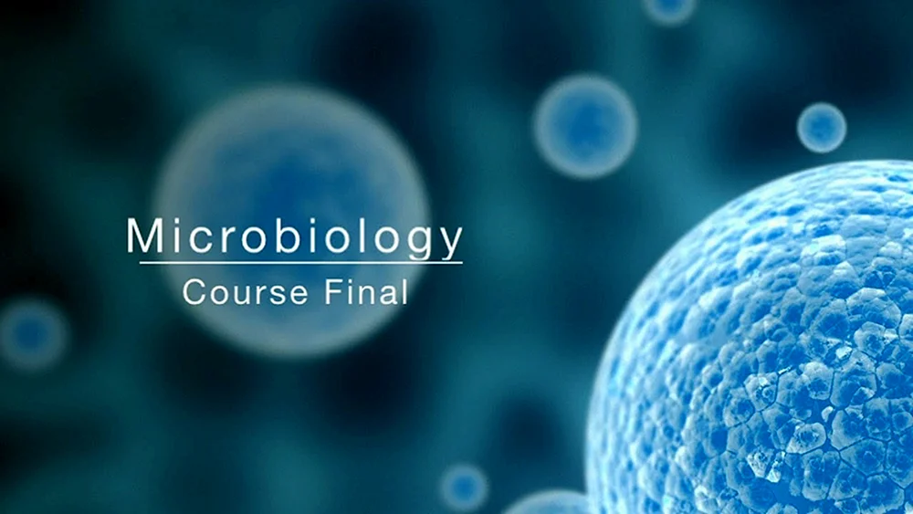 Mikrobiologie