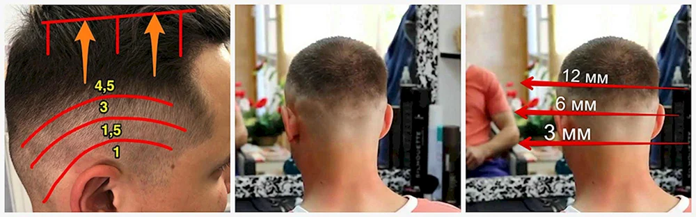 Kurzes mittellanges bis langes Haar