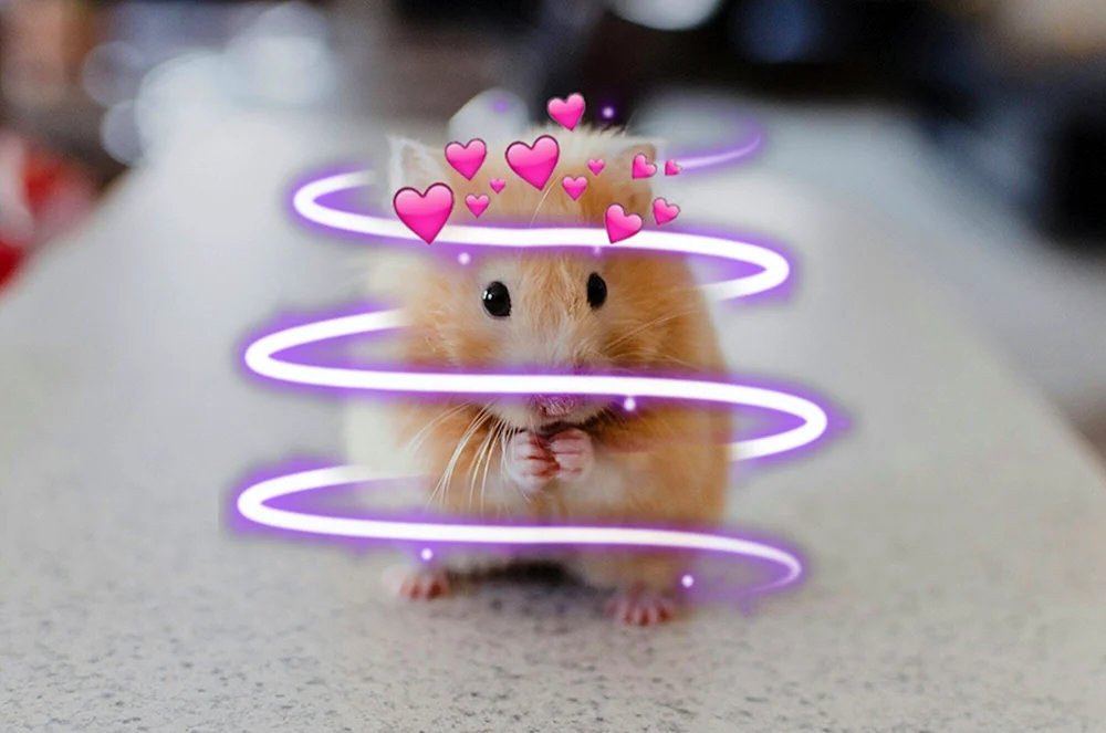 Hamster für Avu