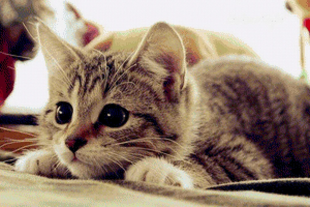 Pelzige Katze