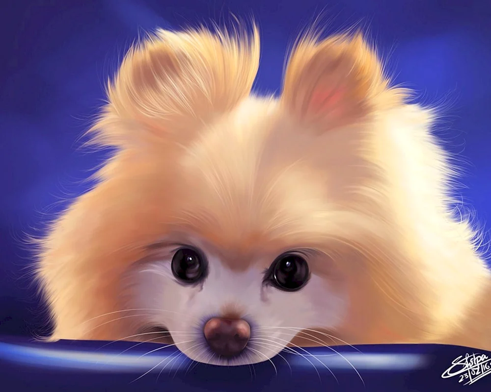 Süße Hunde