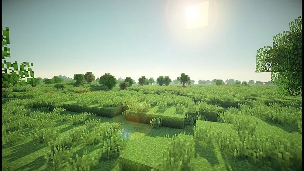 Maincraft Hintergründe