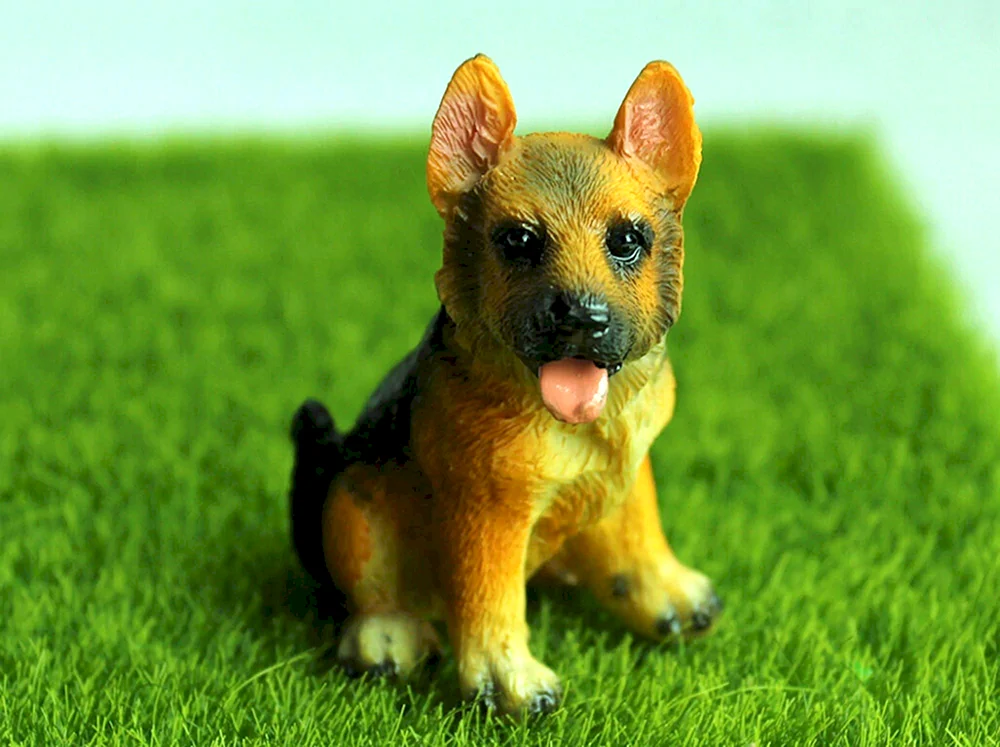 Sitter-Schäferhund