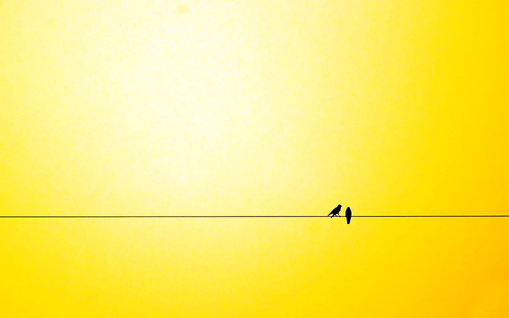 Minimalismus
