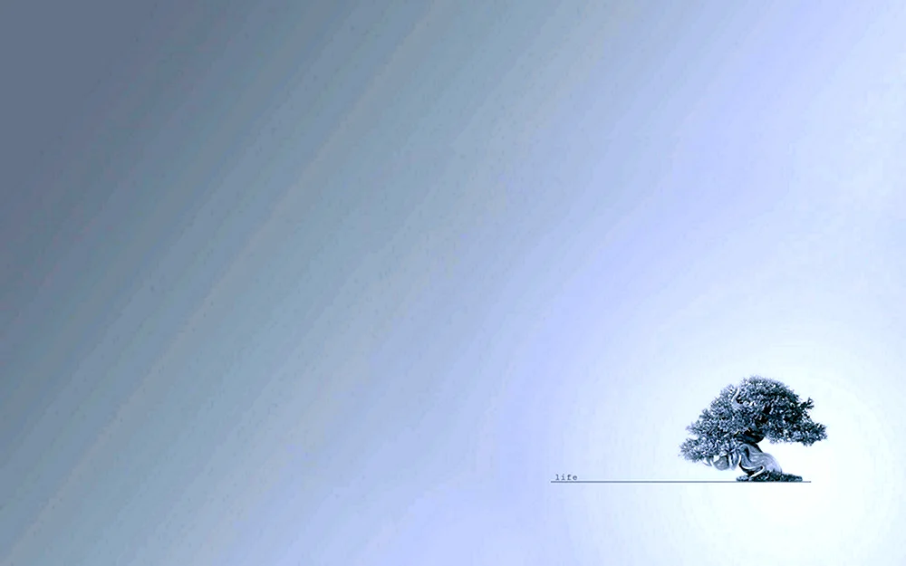 Minimalismus