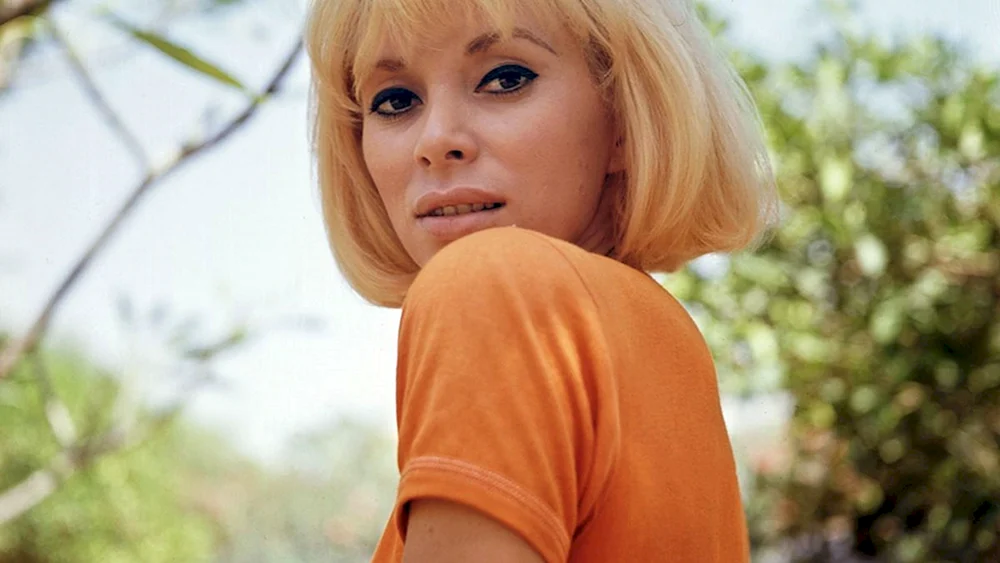 Mireille darc