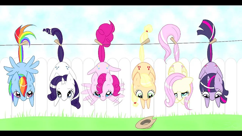 Pony