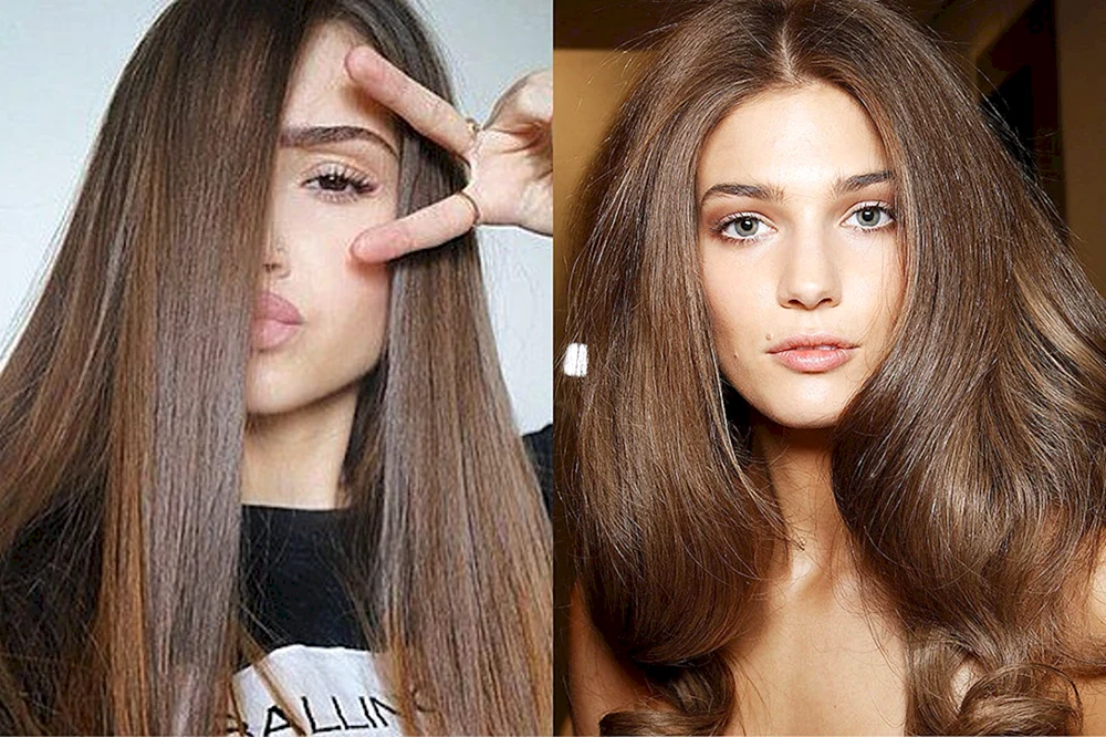 Garnier Color Palette