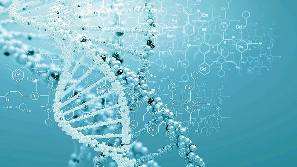 DNA-Molekül
