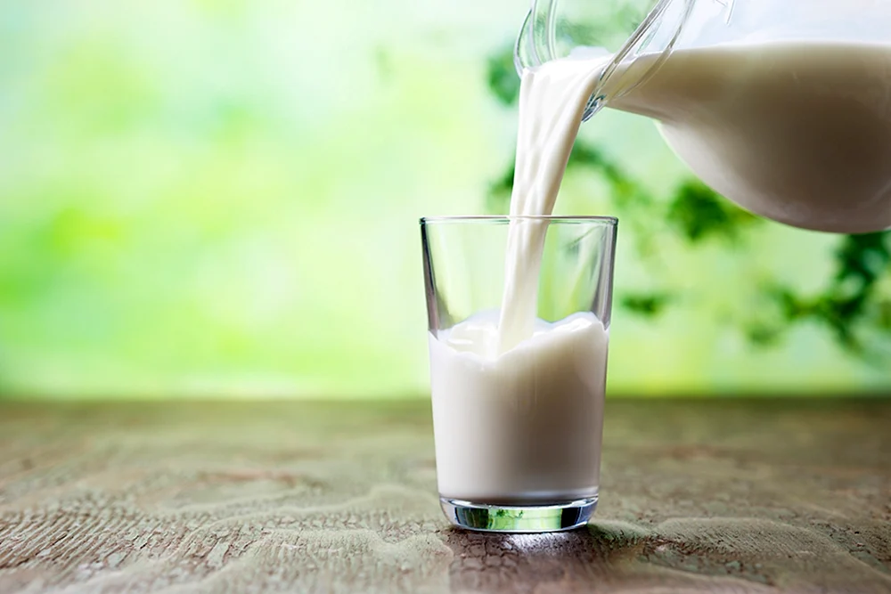 Milch