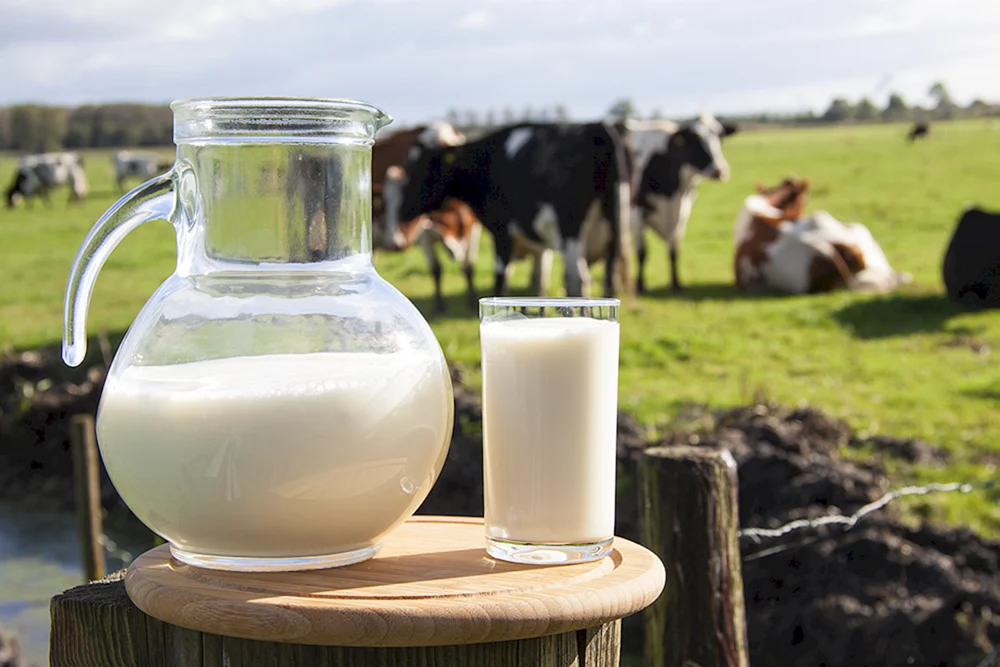 Milch