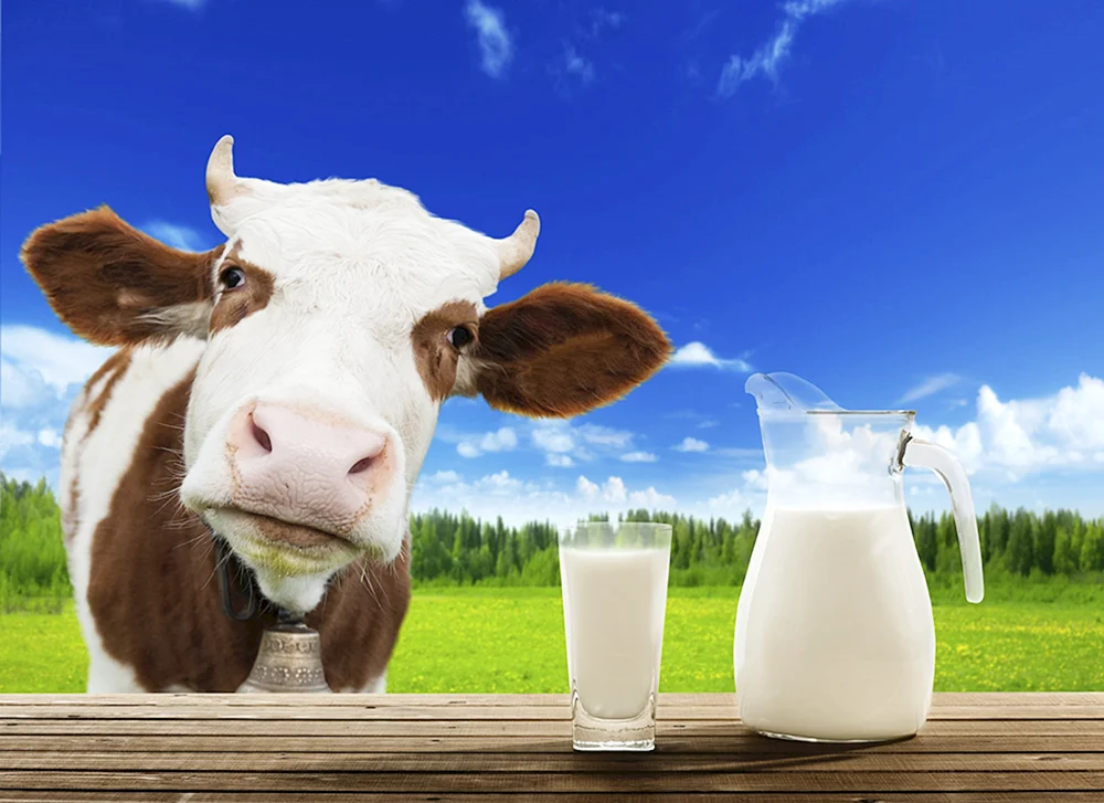 Milch