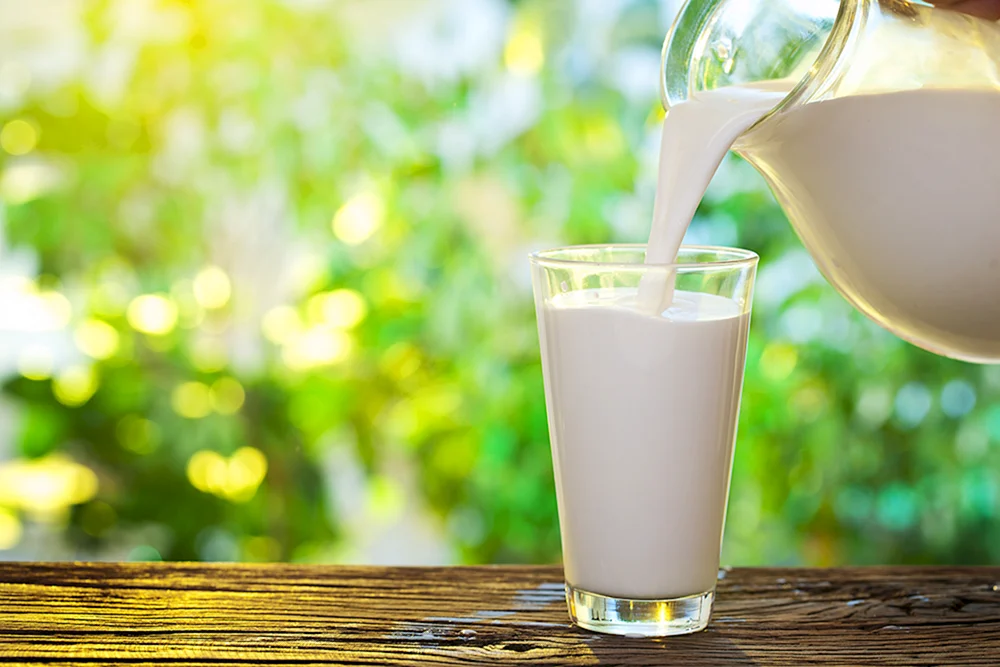 Milch