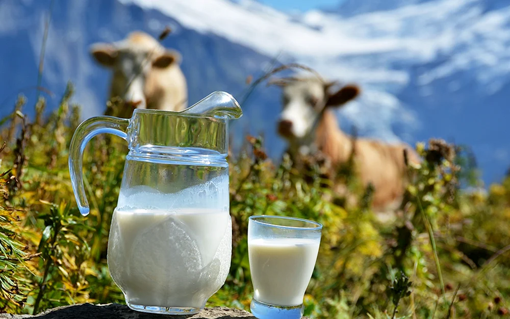 Milch