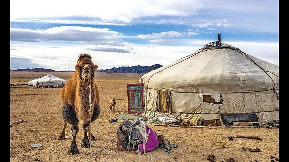 Mongolische Nomaden Jurte