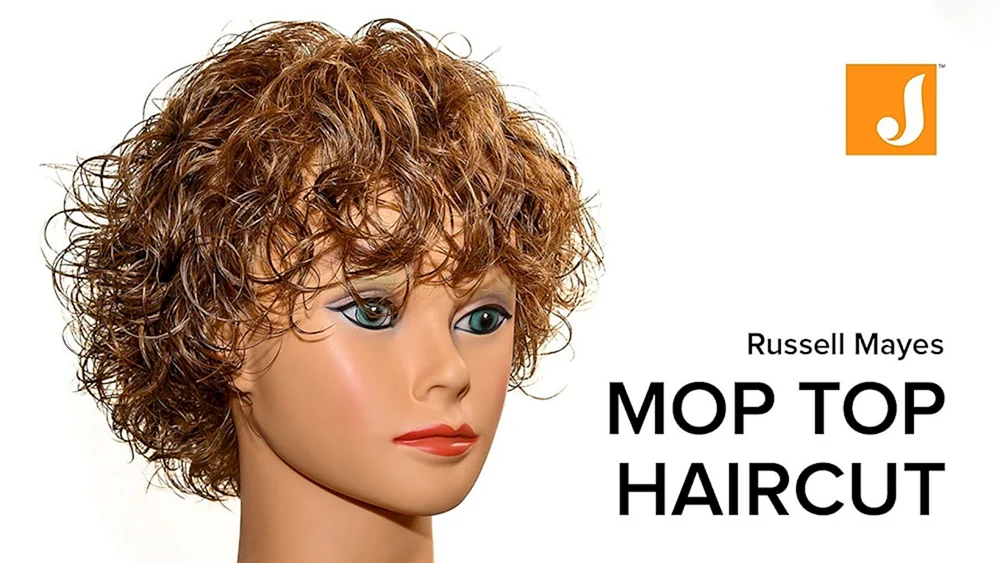 Mop Top Mop