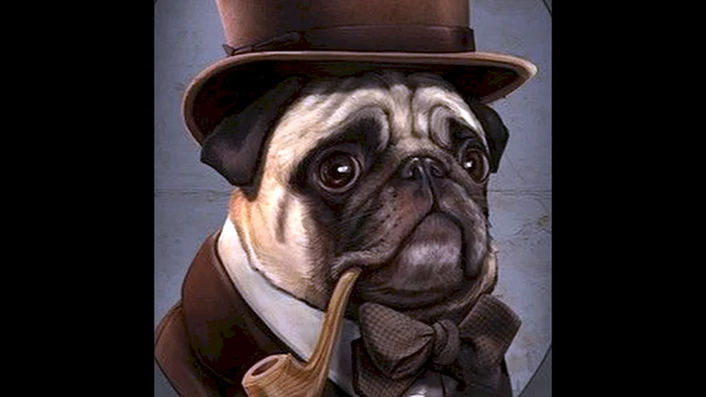 Mops und Bulldogge