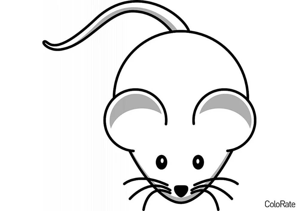 Maus Gesicht