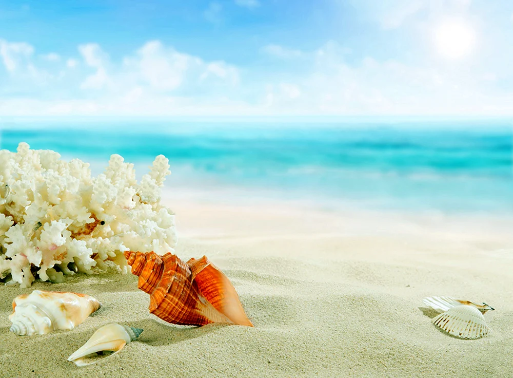 Marinesand