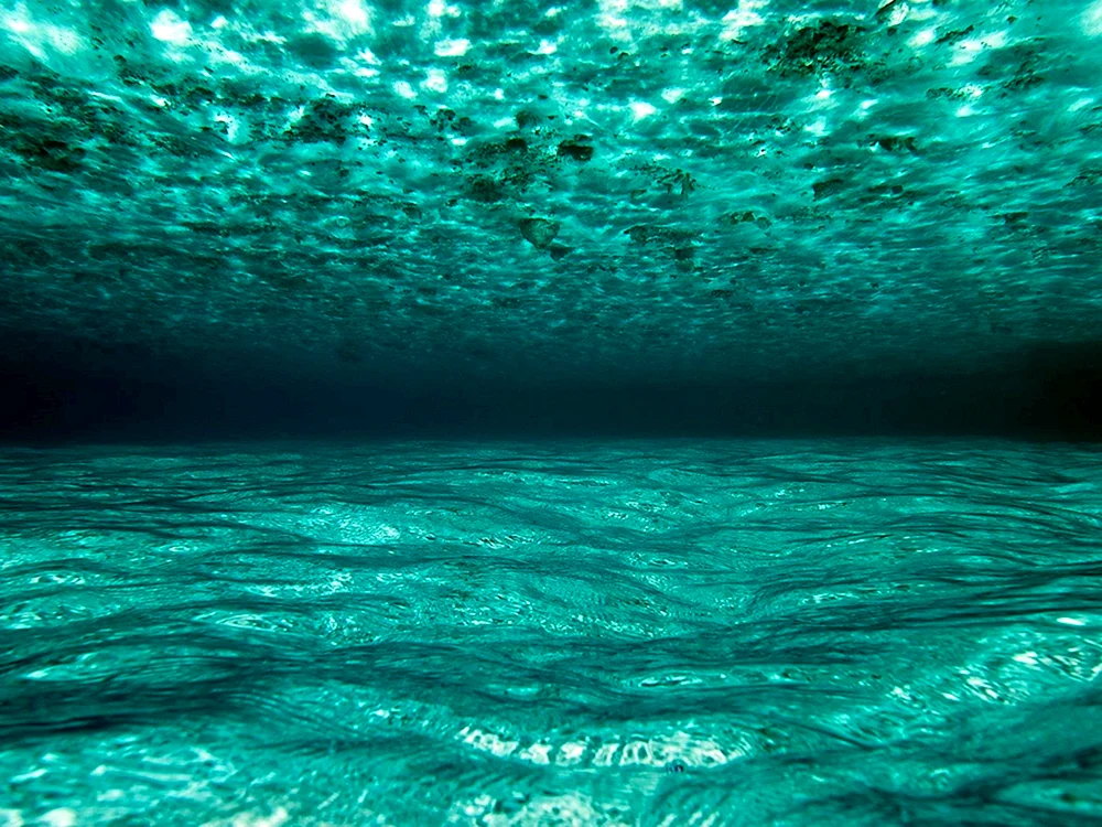 Das Meer unter Wasser